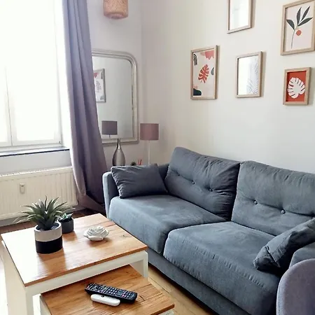 Appart Hôtel Parc Sainte Marie * Nancy