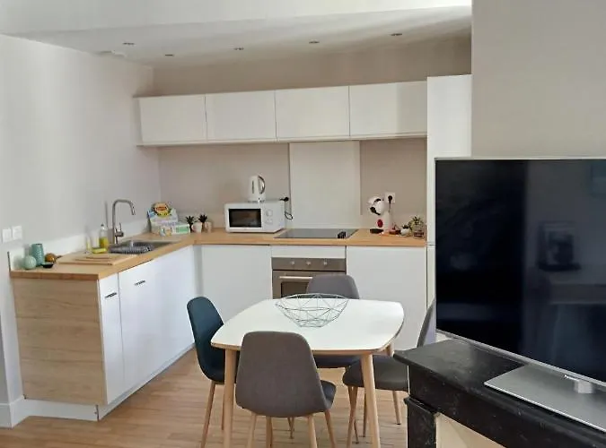 Nancy Ville Appartement *