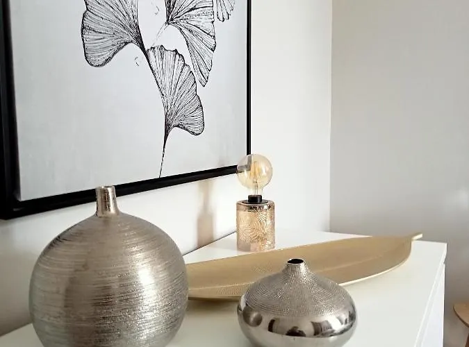 Appartement Nancy Ville *