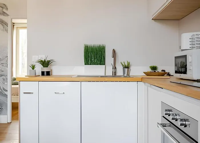 Appartement Nancy Ville Nancy