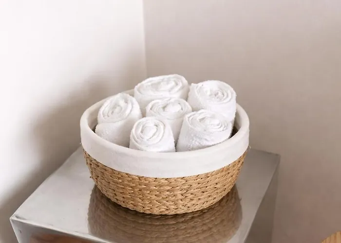 Appartement Nancy Ville *